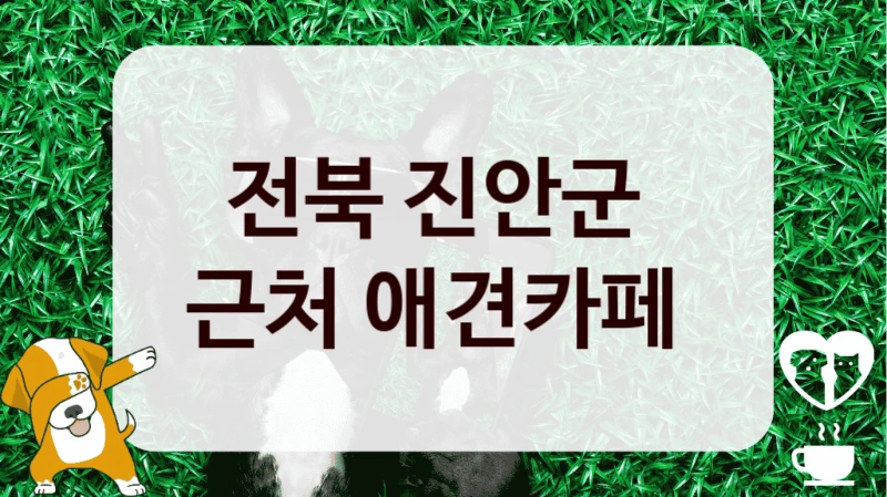 전북 진안군 
근처 애견카페 