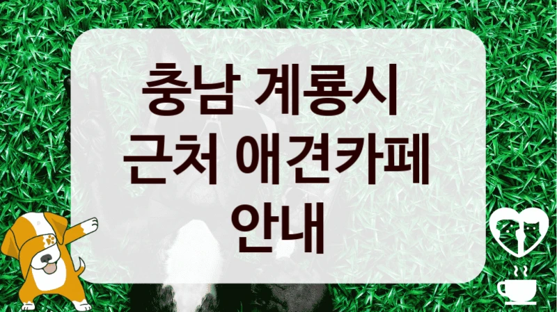 충남 계룡시 
근처 애견카페 안내