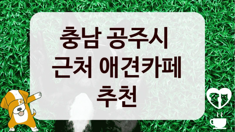 충남 공주시 
근처 애견카페 추천