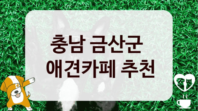 충남 금산군 
 애견카페 추천