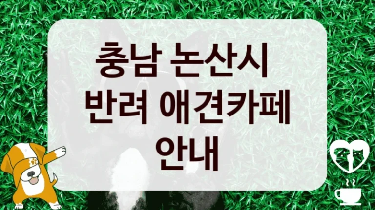충남 논산시 
반려 애견카페 안내