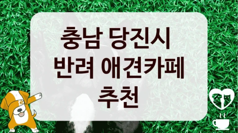 충남 당진시 
반려 애견카페 추천