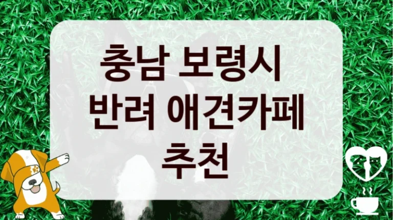 충남 보령시 
반려 애견카페 추천