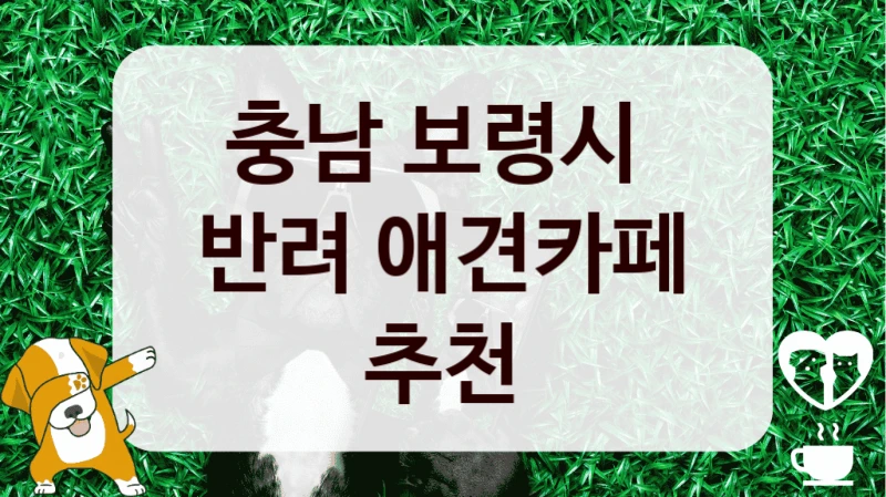 충남 보령시 
반려 애견카페 추천