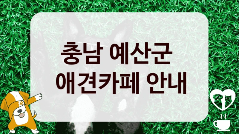 충남 예산군 
 애견카페 안내