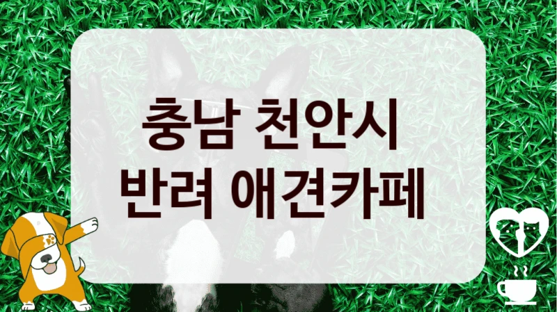 충남 천안시 
반려 애견카페