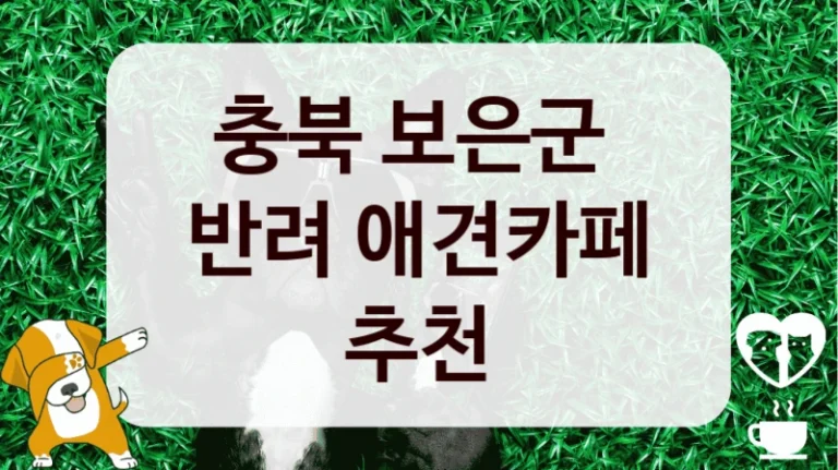 충북 보은군 
반려 애견카페 추천