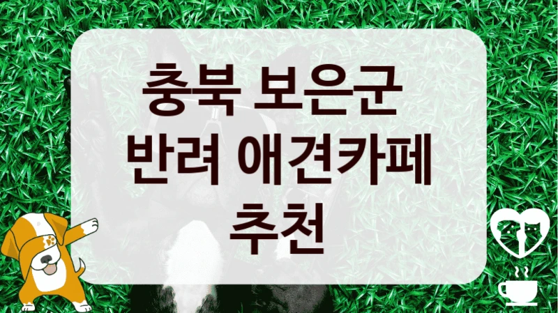 충북 보은군 
반려 애견카페 추천