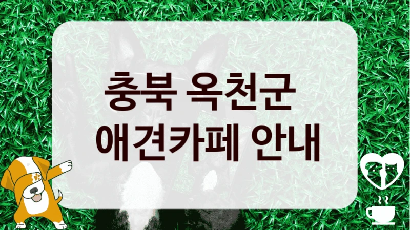 충북 옥천군 
 애견카페 안내