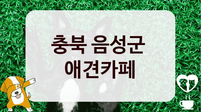 충북 음성군 
 애견카페