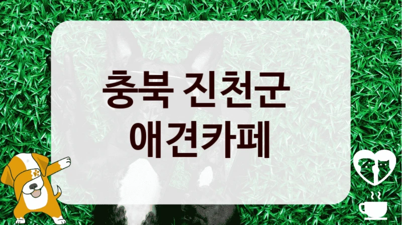 충북 진천군 
 애견카페