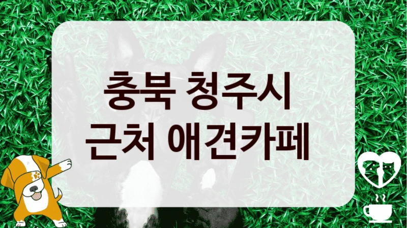 충북 청주시 
근처 애견카페