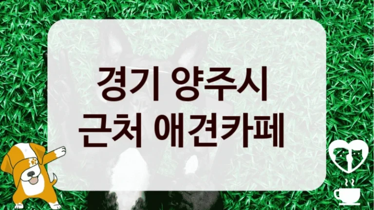 경기 양주시 
근처 애견카페