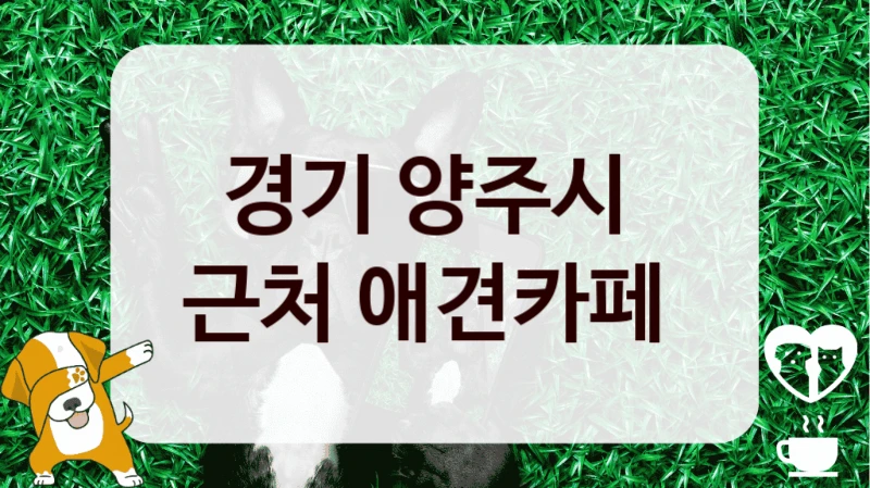경기 양주시 
근처 애견카페