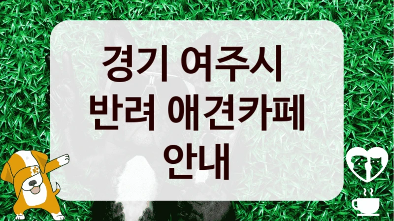 경기 여주시 
반려 애견카페 안내