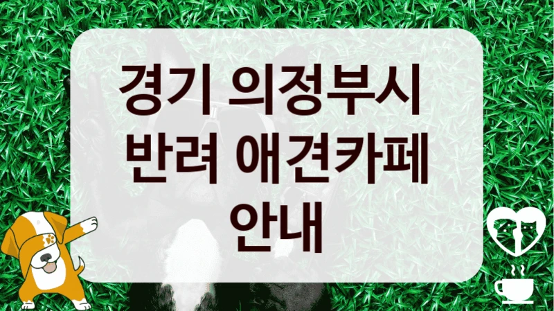 경기 의정부시 
반려 애견카페 안내