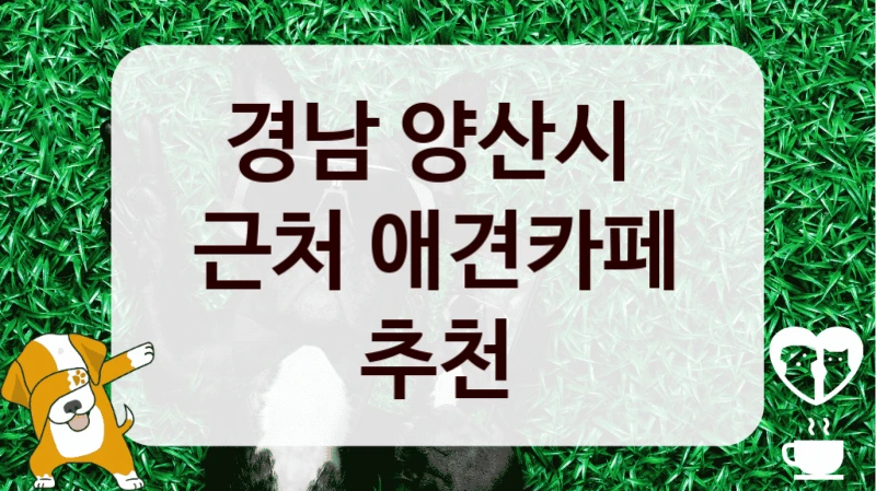 경남 양산시 
근처 애견카페 추천