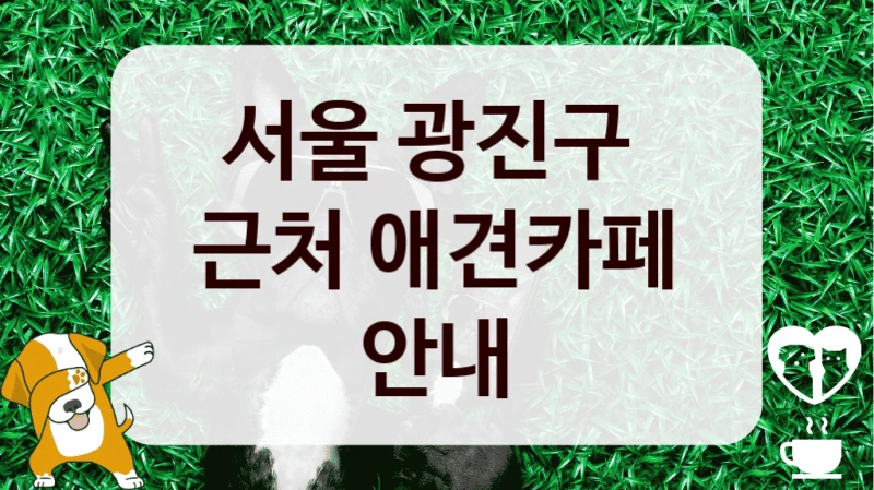 서울 광진구 
근처 애견카페 안내