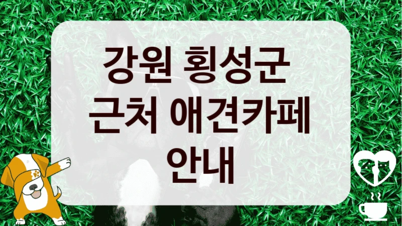 강원 횡성군 
근처 애견카페 안내