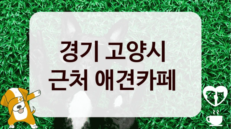 경기 고양시 
근처 애견카페 