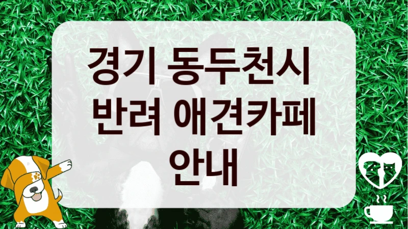 경기 동두천시 
반려 애견카페 안내
