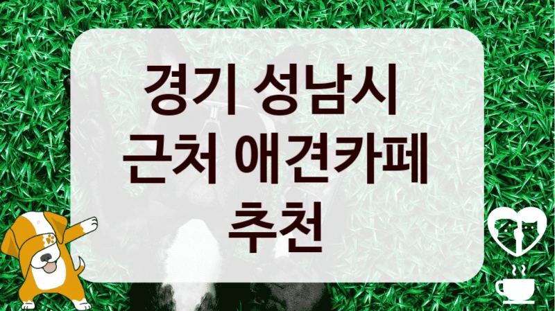 경기 성남시 
근처 애견카페 추천