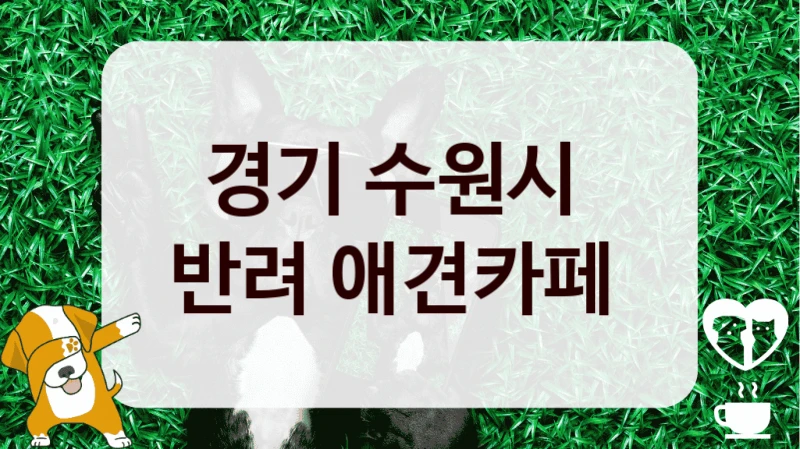 경기 수원시 
반려 애견카페 