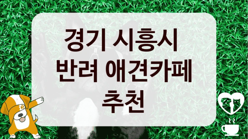 경기 시흥시 
반려 애견카페 추천