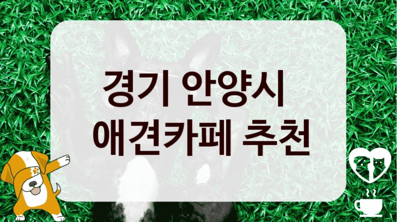경기 안양시 
 애견카페 추천