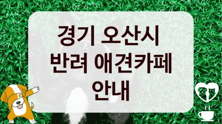 경기 오산시 
반려 애견카페 안내