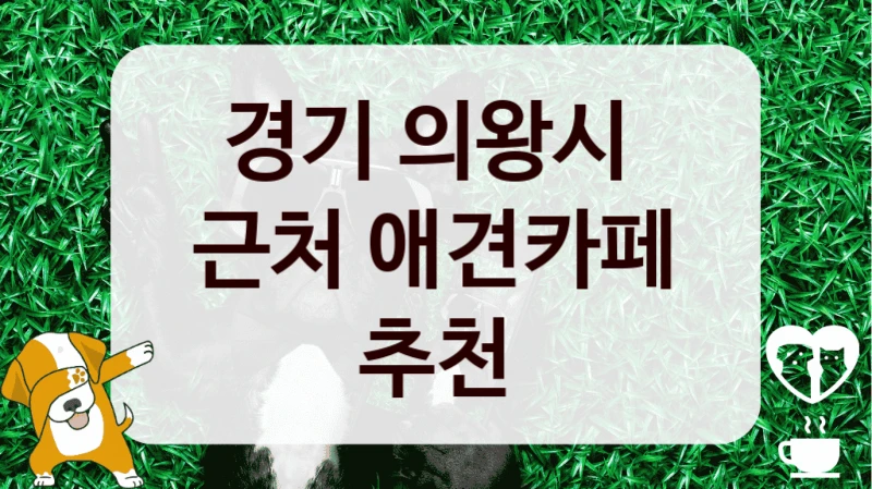 경기 의왕시 
근처 애견카페 추천