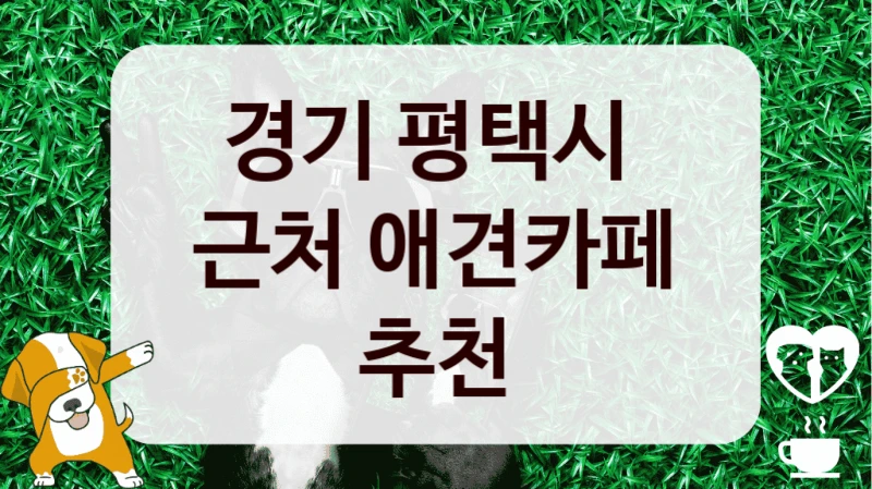 경기 평택시 
근처 애견카페 추천