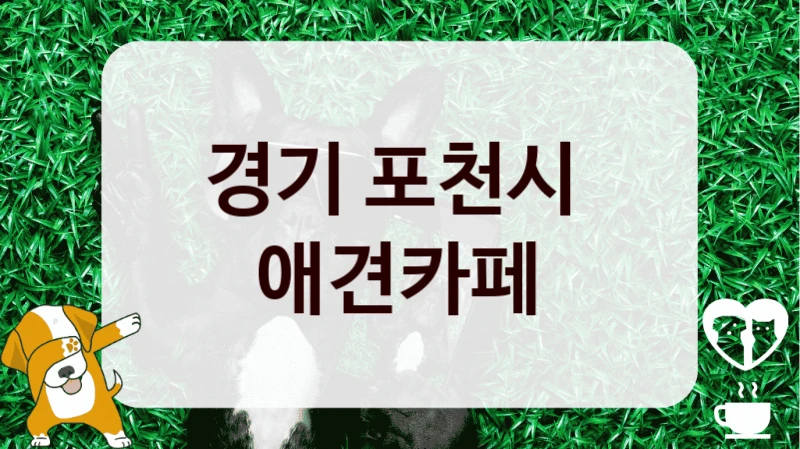 경기 포천시 
 애견카페 