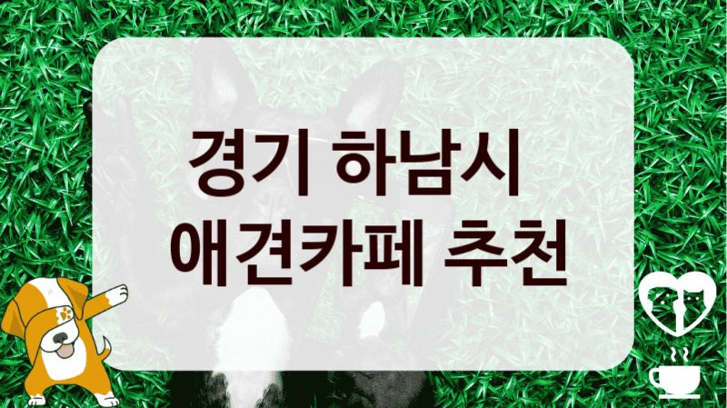 경기 하남시 
 애견카페 추천