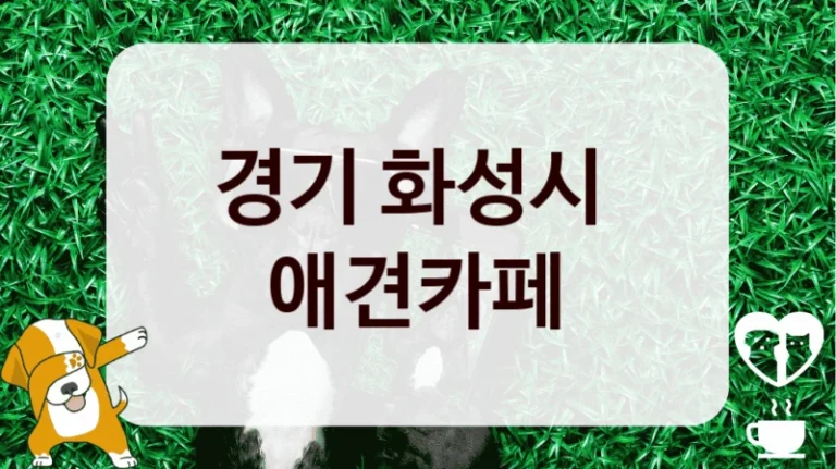 경기 화성시 
 애견카페