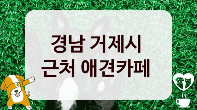 경남 거제시 
근처 애견카페