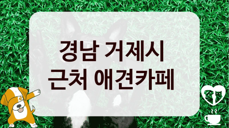 경남 거제시 
근처 애견카페 
