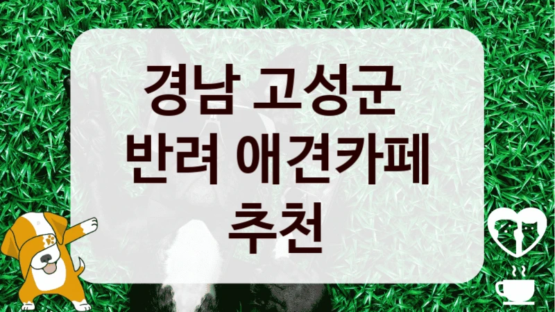 경남 고성군 
반려 애견카페 추천