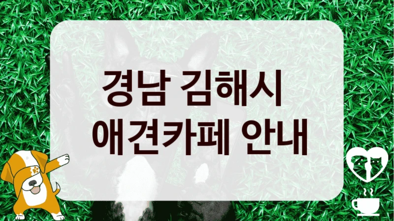 경남 김해시 
 애견카페 안내