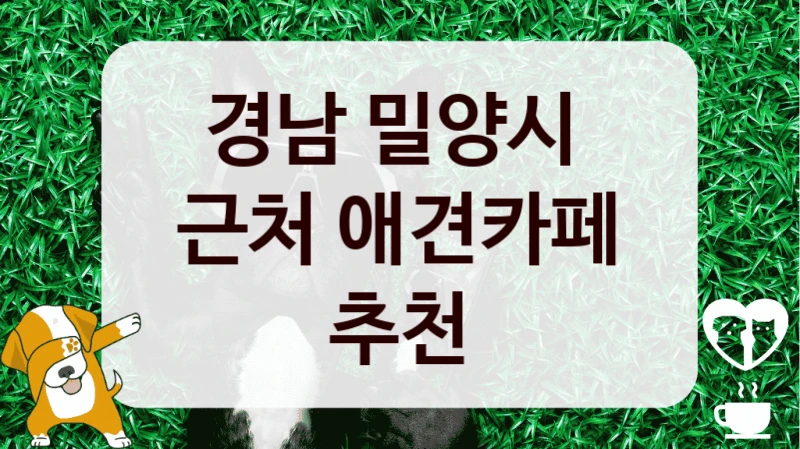 경남 밀양시 
근처 애견카페 추천