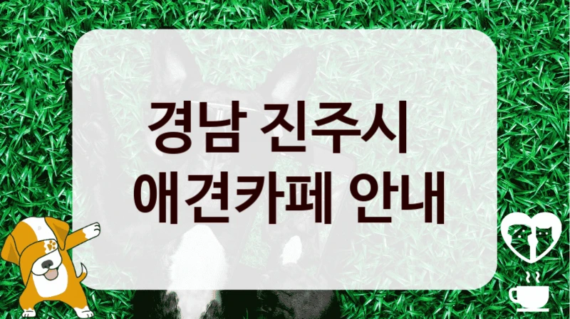 경남 진주시 
 애견카페 안내