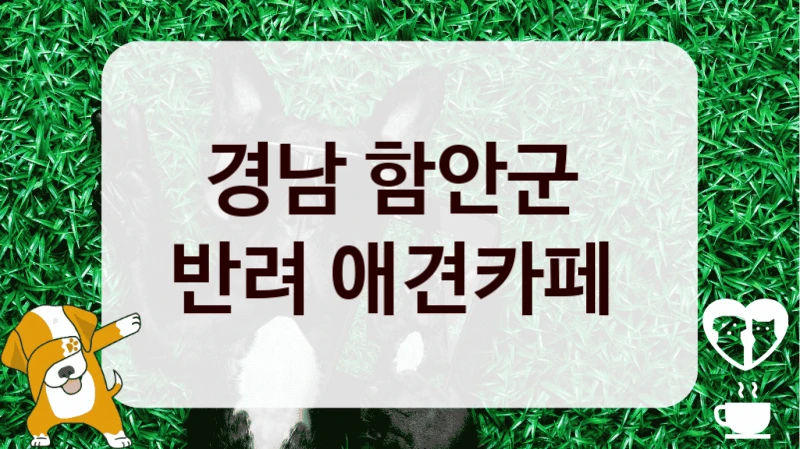 경남 함안군 
반려 애견카페 