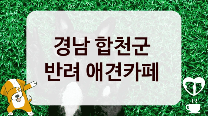 경남 합천군 
반려 애견카페 