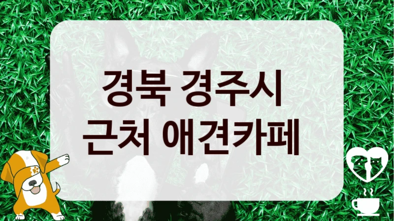 경북 경주시 
근처 애견카페 