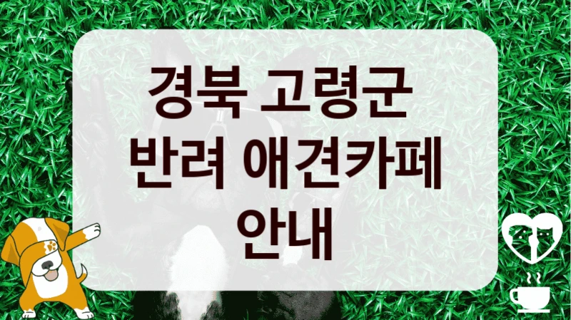 경북 고령군 
반려 애견카페 안내