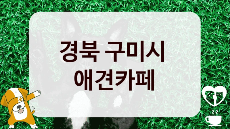 경북 구미시 
 애견카페 