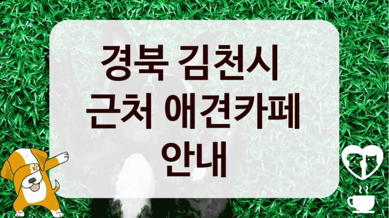 경북 김천시 
근처 애견카페 안내