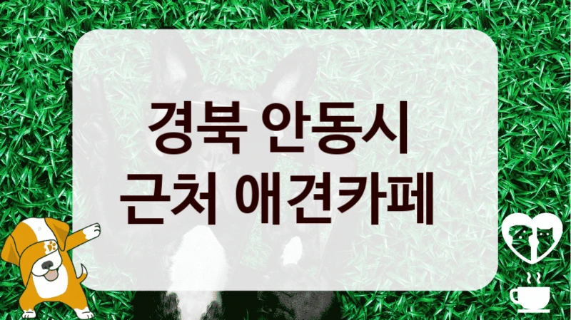 경북 안동시 
근처 애견카페 