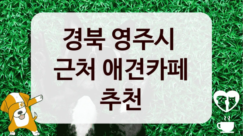 경북 영주시 
근처 애견카페 추천