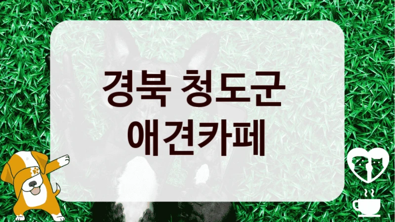 경북 청도군 
 애견카페 
